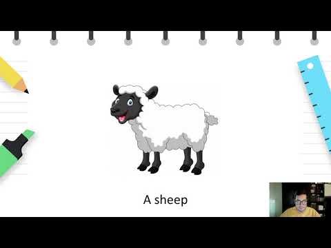 Видео: II (Второ) одделение - Англиски јазик - Претставување на животни и нивните малечки