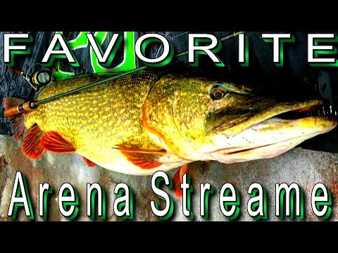 Видео: Favorite Arena Stream, реальный обзор, посте теста. Для тех кто любит рыбалку