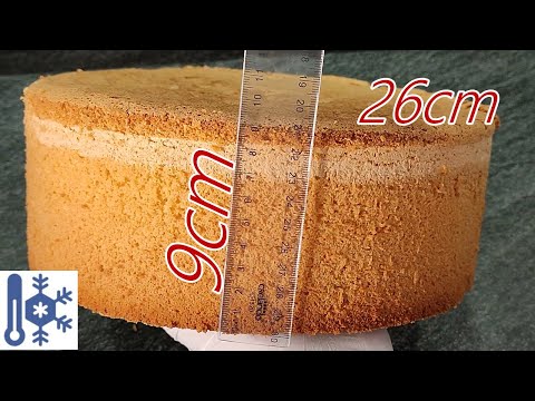 Видео: 100% ПЫШНЫЙ КЛАССИЧЕСКИЙ Бисквит Как ИСПЕЧЬ и ЗАМОРОЗИТЬ!Всегда получается ручным миксером!