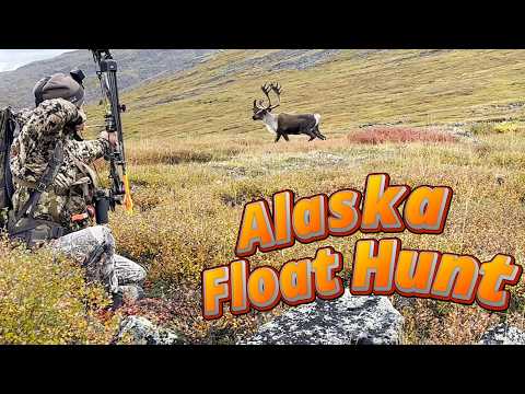 Видео: Охота на карибу на Аляске! Стрельба из лука и винтовки, плавание и перетаскивание