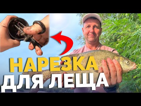 Видео: ❗️ОНИ КЛЮЮТ на... 🤯 Трофей на КРЮЧКЕ❗️ Рыбалка на ДЕСНЕ 2024! Жарим леща