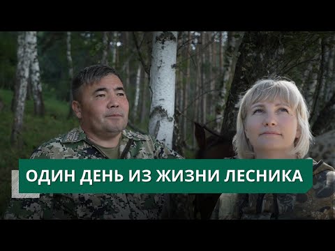 Видео: Один день из жизни лесника