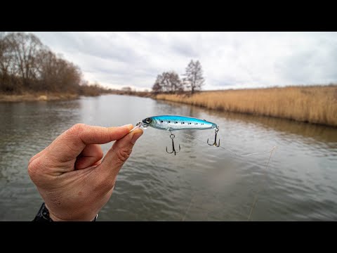 Видео: Лесные ДЕБРИ ЗАБИТЫ ЩУКОЙ!!! Рыбалка на ВОБЛЕР ВЕСНОЙ!