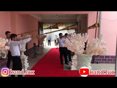 Видео: Канибадамская Свадьба 2020