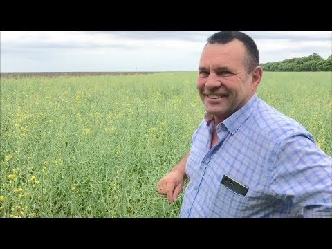 Видео: Невозможное возможно