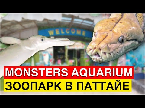 Видео: Monster Aquarium Pattaya - полный обзор
