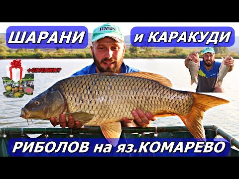 Видео: РИБОЛОВ на ЕДРИ КАРАКУДИ и ШАРАНИ на яз.КОМАРЕВО с МАЧ и ВАГЛЕР