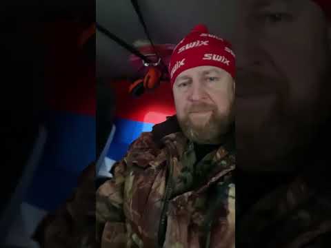 Видео: Охота…..