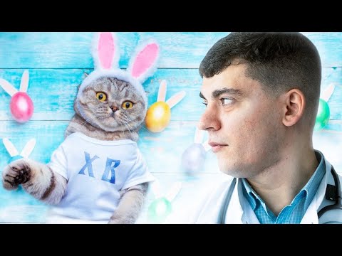 Видео: ПРЯМОЙ ЭФИР КАРДИОЛОГА