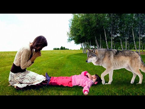 Видео: Мама не могла спасти умирающую на глазах дочь, пока не появился серый хищник. Он был дал надежду