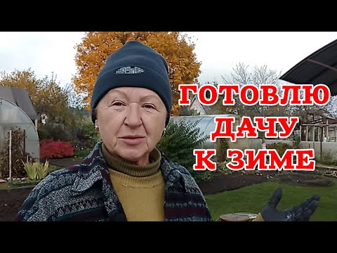 Видео: Не повторяйте моих ошибок, если хотите, чтобы ваши цветы перезимовали 🌺❄️☃️