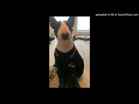 Видео: lida - грустный рэп