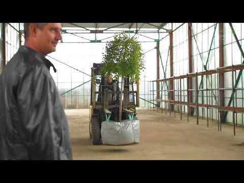 Видео: Трейлер "Типы озеленения кровли"