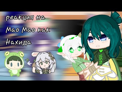 Видео: реакция на Мао Мао как Нахида