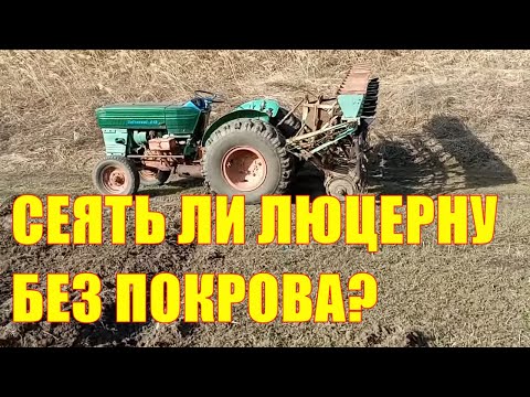 Видео: Как посеять люцерну без покровной культуры?