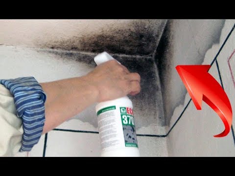 Видео: ЛУЧШЕЕ СРЕДСТВО ОТ ГРИБКА И ПЛЕСЕНИ