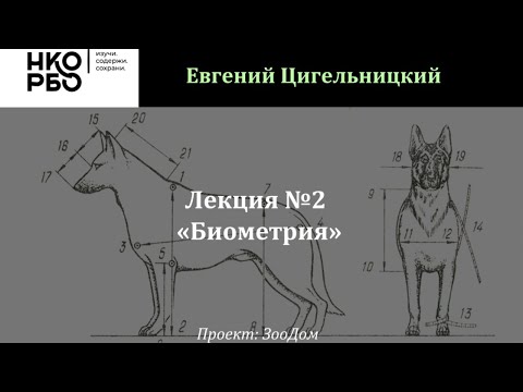 Видео: Лекция №2 - Биометрия (Цигельницкий Евгений)
