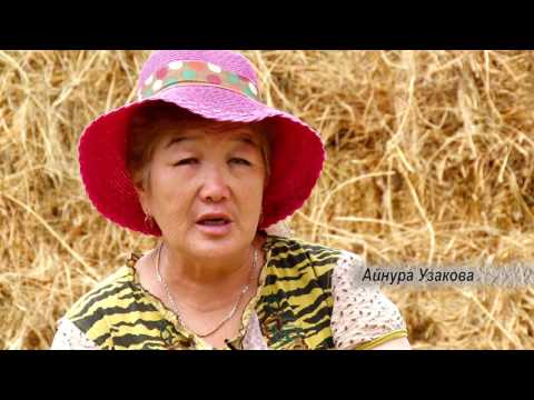 Видео: Кыштакча