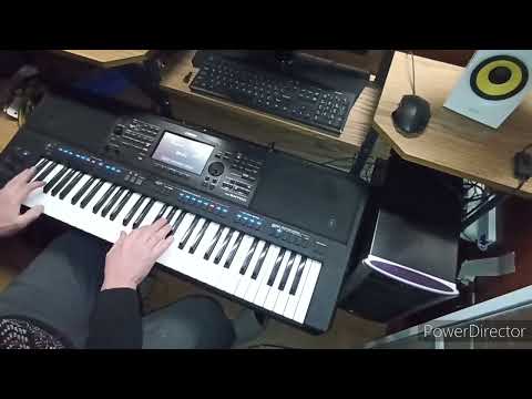 Видео: Андрей Державин. гр. Сталкер..Не плачь Алиса.   Кавер на синтезаторе Yamaha PSR SX 700