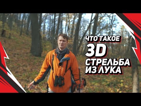 Видео: Что такое 3D стрельба из лука