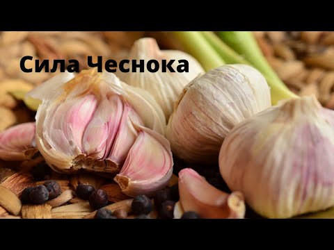 Видео: Удивительные факты о чесноке от доктора Васлиева