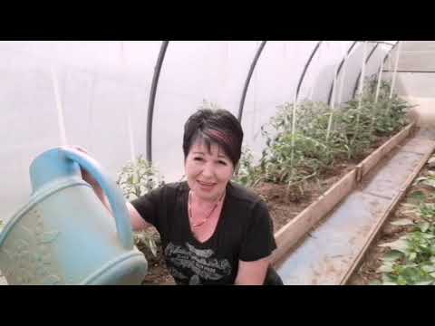 Видео: Мои лайфаки🤗🤗🤗. И как мы с экономили на бетоне.