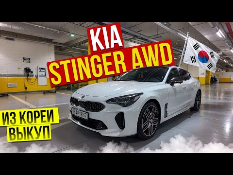 Видео: Авто из Кореи KIA STINGER AWD выкуп февраль 2025