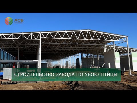 Видео: Повышение квалификации агрономов/Строительство завода по убою птицы/Подработка подсолнечника