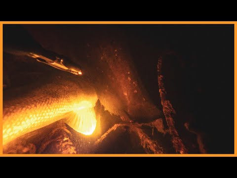 Видео: СУДАКИ,СОМИ АБО ВІДКРИТТЯ СЕЗОНУ НА МАЛІЙ РІЧЦІ | ПІДВОДНЕ ПОЛЮВАННЯ 2025