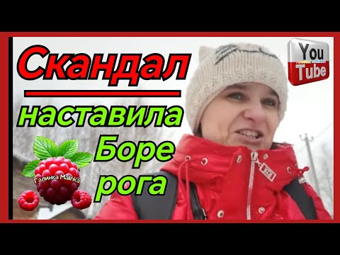 Видео: Бровченко /Скандал /Наставила Боре рога /Обзор /Семья Бровченко /Колесниковы /Деревенский дневник 