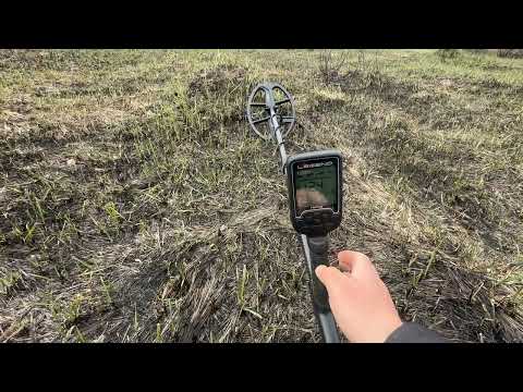 Видео: Порівняй, Minelab Equinox 900 та Nokta Legend - секрети і різниця металошукачів.