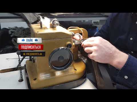 Видео: Соболь