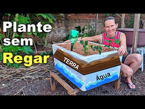 Видео: Сделай сам: как сделать сад, который не нужно поливать 🌱