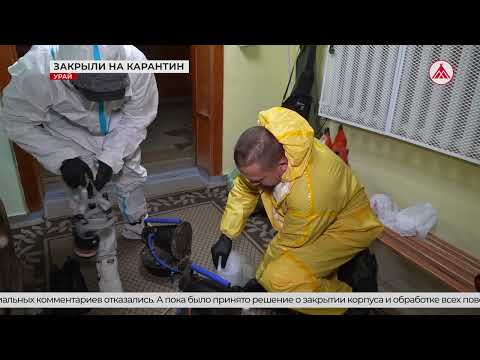 Видео: Почему детсад №21 Урая закрыли на карантин? 10-11-2025