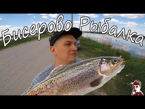 Видео: Рыбалка Бисеровский Рыбокомбинат!!!  (26 мая 21года)