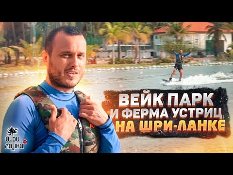 Видео: ДЕШЁВЫЕ УСТРИЦЫ НА ШРИ-ЛАНКЕ/ Вейк парк / Кальпития / Михинтале