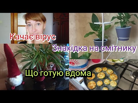 Видео: Сама вдома без дітей//Качає вірус😒//Знахідка на смітнику🪴//Готую молоді кабачки🍽🍲//@Shara-Olena 🤗