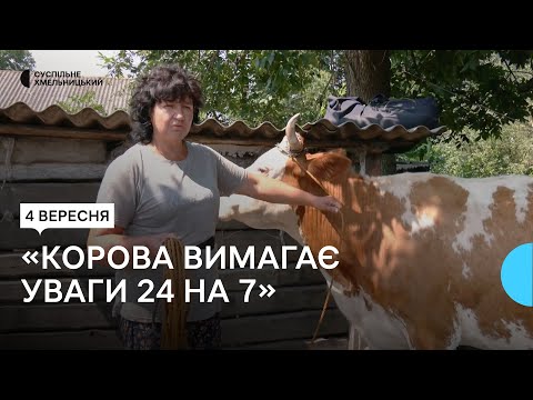 Видео: У селах на Хмельниччині меншає корів