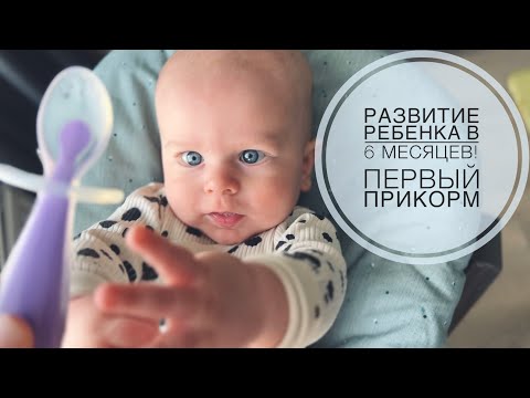 Видео: ГРАНТУ 6 МЕСЯЦЕВ!!! | РАЗВИТИЕ РЕБЕНКА И ПЕРВЫЙ ПРИКОРМ!