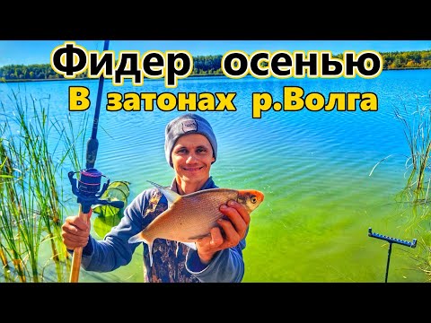 Видео: ФИДЕР/ОСЕННЯЯ РЫБАЛКА НА ВОЛГЕ/ЛОВЛЯ ПОДЛЕЩИКА/ РЫБАЛКА В САМАРЕ/ОСЕНЬ 2024/ЛОВЛЯ ФИДЕРОМ ОСЕНЬЮ/ЛЕЩ