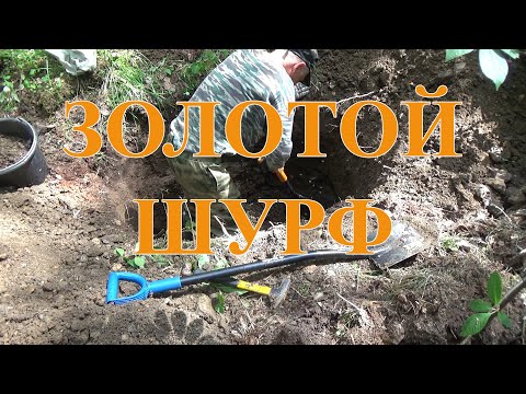 Видео: Золотой шурф.