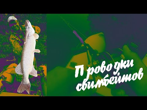 Видео: Про скорость проводки Щука Спиннинг