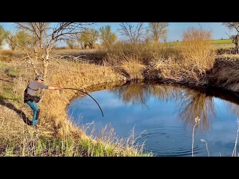 Видео: ОФИГЕТЬ! НАШЁЛ ЛУЖУ С РЫБОЙ И ПОЙМАЛ. Рыбалка на спиннинг весной