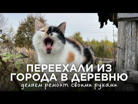 Видео: Как мы готовимся к зиме? | Утепление опилками | Тестируем самый дешевый триммер