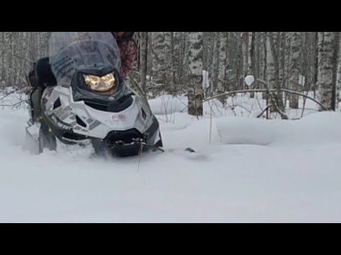 Видео: Снегоход Тайга Патруль 800SWT. Тест на проходимость без дороги в лесу.