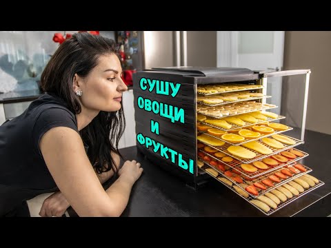 Видео: ОБЗОР дегидратора Oberhof Fruchttrockner В-53. Сушу овощи, фрукты, грибы и делаю приправы  0+