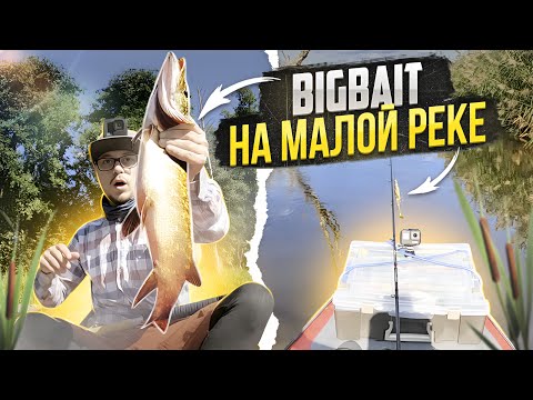 Видео: Сплав по малой реке с BigBaits и на каяках Варвар