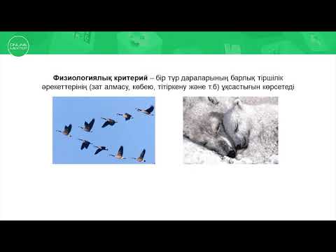 Видео: түр оның критерилері мен құрылымы