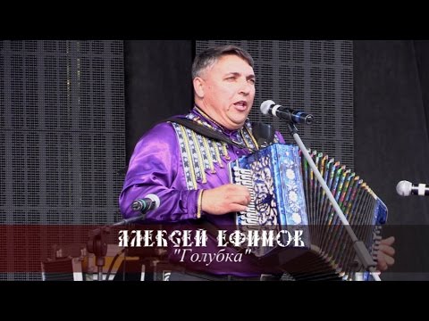 Видео: Алексей Ефимов - Голубка
