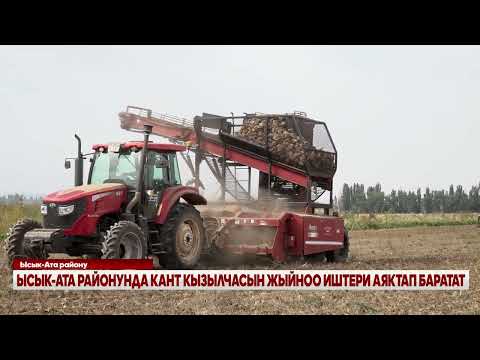 Видео: ЫСЫК-АТА РАЙОНУНДА КАНТ КЫЗЫЛЧАСЫН ЖЫЙНОО ИШТЕРИ АЯКТАП БАРАТАТ